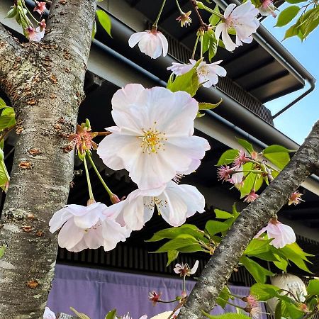 Rinn Kamiebisu Kyoto Bagian luar foto